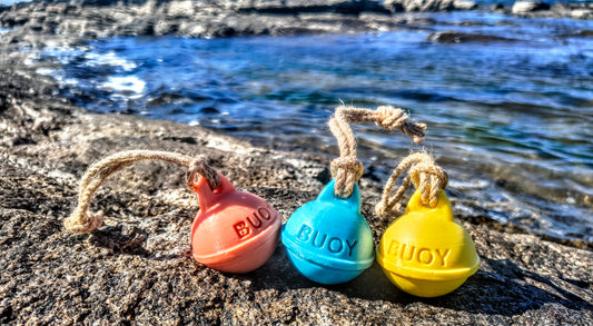 "The Wee Buoy" Soap 60g